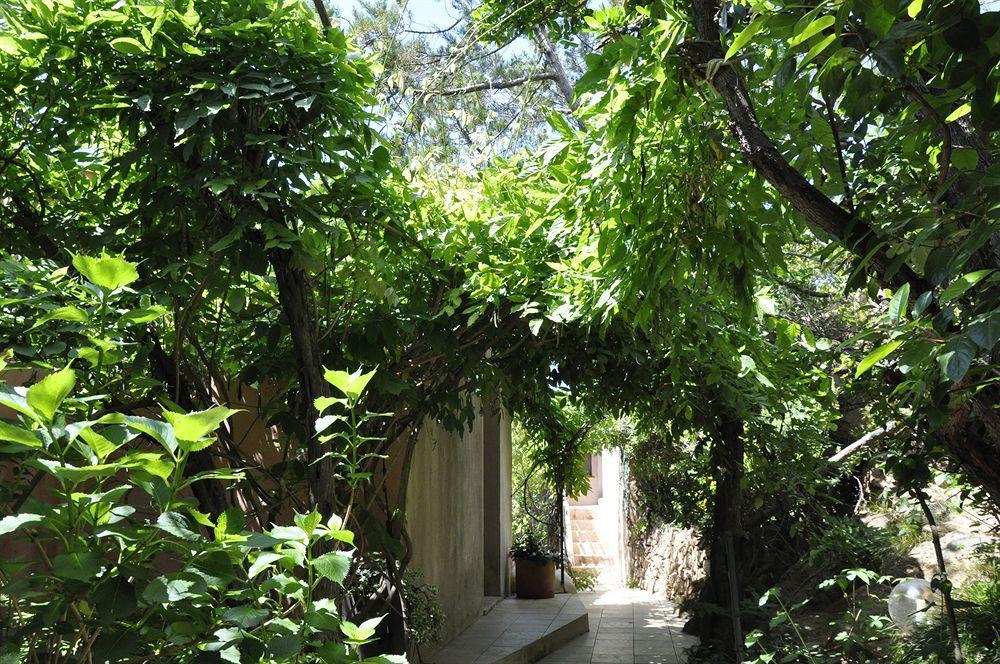 Private Hotel - Adult Only Porto-Vecchio  Zewnętrze zdjęcie