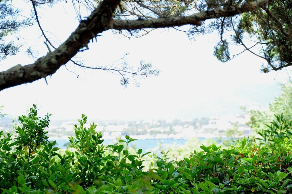 Private Hotel - Adult Only Porto-Vecchio  Zewnętrze zdjęcie