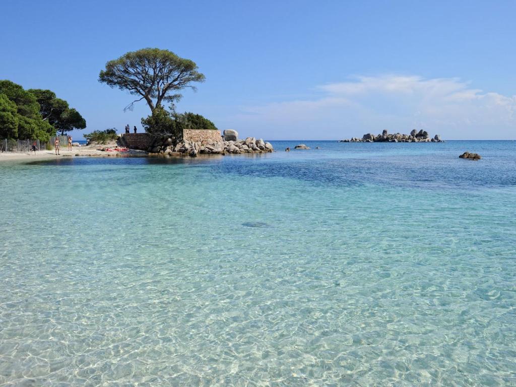 Private Hotel - Adult Only Porto-Vecchio  Zewnętrze zdjęcie